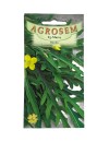 Seminte rucola Agrosem - 3 grame