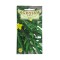 Seminte rucola Agrosem - 3 grame