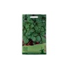 Seminte rucola - 5 grame
