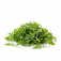 Rucola