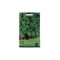 Seminte rucola - 5 grame