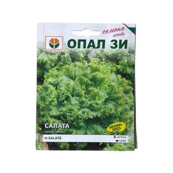 Seminte salata Gentelina Opal - 2 grame