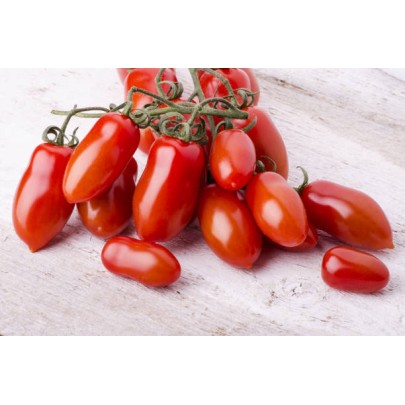 Seminte tomate San Marzano Nano - 0.5 grame