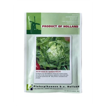 Seminte salata de capatana Hilde - 10 grame