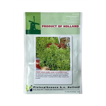 Seminte salata creata Lollo Bionda - 10 grame