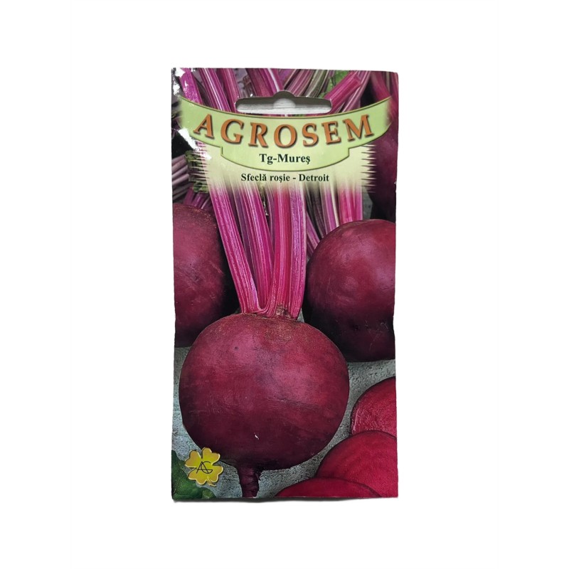 Seminte sfecla rosie Detroit Agrosem - 4 grame