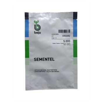 Seminte salata batavia Sementel F1 - 5000 seminte