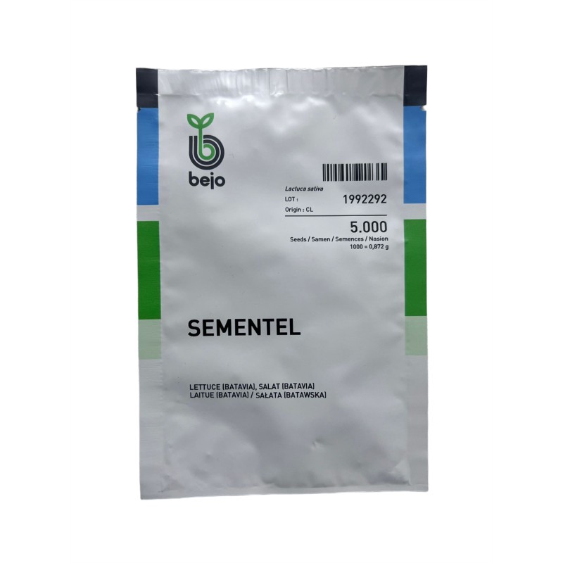 Seminte salata batavia Sementel F1 - 5000 seminte