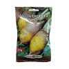 Seminte sfecla furajera Ursus Poly - 50 grame