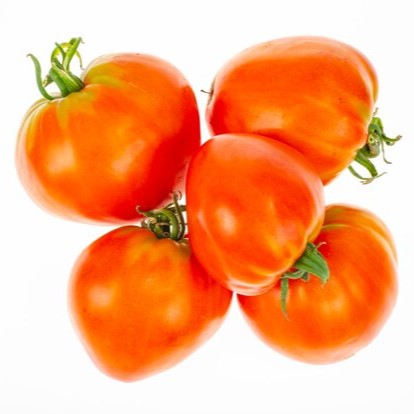 Seminte tomate Siyana F1 - 100 seminte