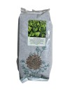 Seminte spanac Matador Holland Farming - 1 kg