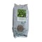 Seminte spanac Matador Holland Farming - 1 kg