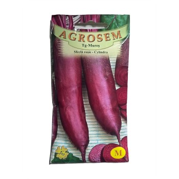 Seminte sfecla rosie Cylindra Agrosem - 20 grame