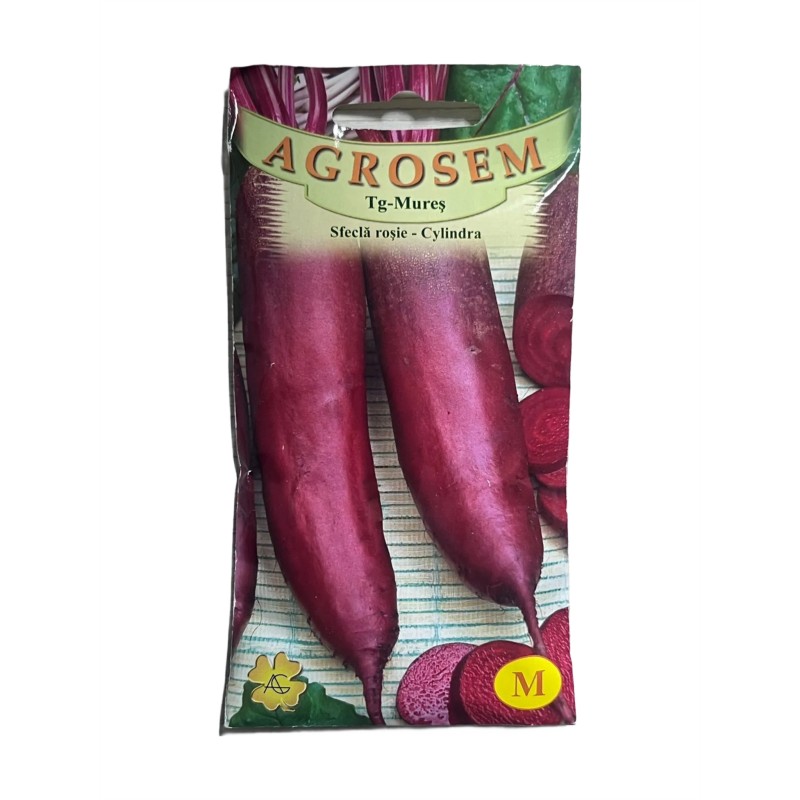 Seminte sfecla rosie Cylindra Agrosem - 20 grame