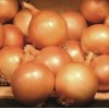 Arpagic stufat Stuttgarter cal. 22-28 mm - 1 kg
