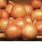 Arpagic stufat Stuttgarter cal. 22-28 mm - 1 kg