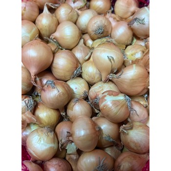 Arpagic stufat Stuttgarter cal. 22-28 mm - 1 kg
