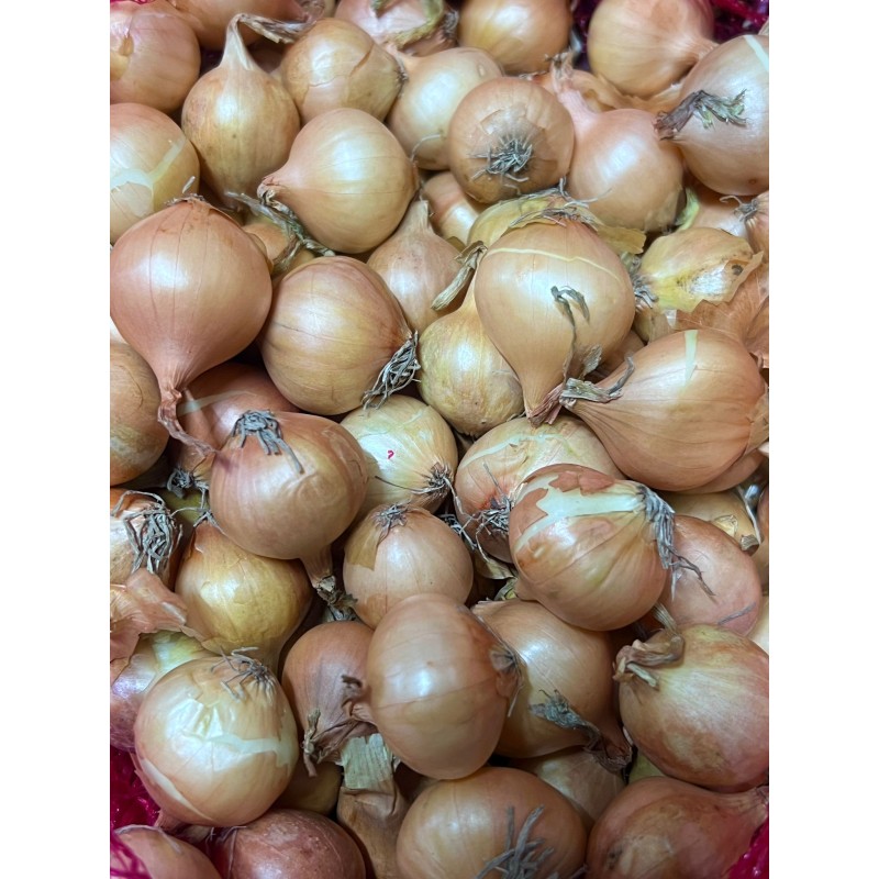 Arpagic stufat Stuttgarter cal. 22-28 mm - 1 kg