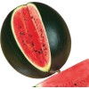 Seminte pepene verde Sugar Baby - 2 grame