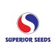 Superior Seeds