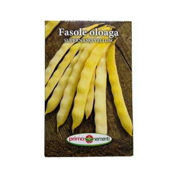 Seminte fasole oloaga Supernano Yellow - 250 grame
