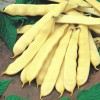 Seminte fasole oloaga Supernano Yellow - 100 grame