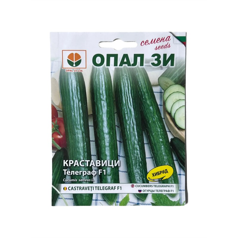 Seminte castraveti lungi Telegraf F1 - 1 gram