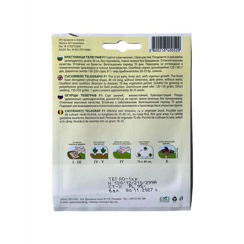 Seminte castraveti lungi Telegraf F1 - 1 gram