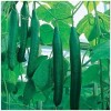 Seminte castraveti lungi Telegraf F1 - 1 gram