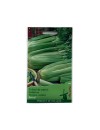 Seminte telina de petiol Pascal - 1 gram