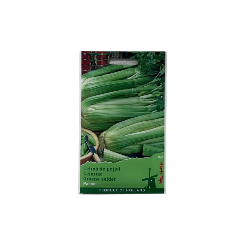 Seminte telina de petiol Pascal - 1 gram