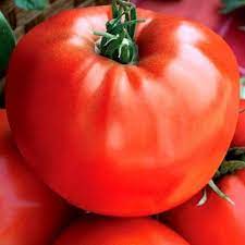 Seminte tomate Medelina - 0.5 grame