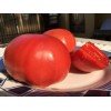 Seminte tomate Rozamax - 5 grame