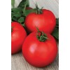 Seminte tomate Bulgaresti de masa - 50 seminte