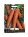 Seminte morcov Touchon - 5 grame
