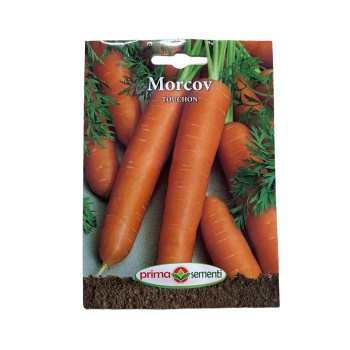 Seminte morcov Touchon - 5 grame