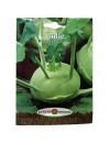 Seminte gulie Vienna White - 5 grame