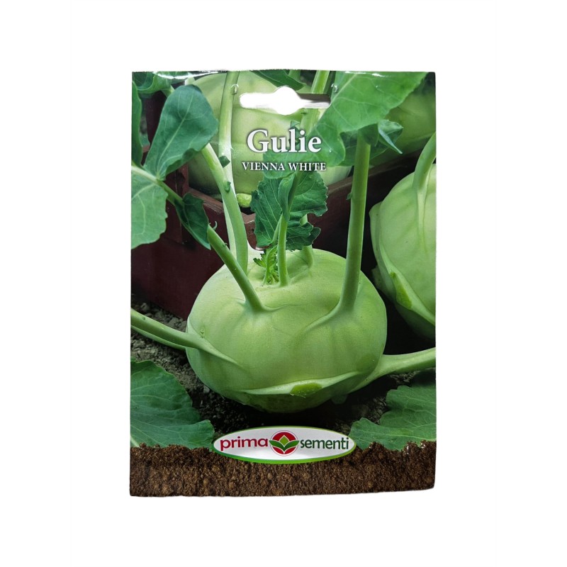 Seminte gulie Vienna White - 5 grame