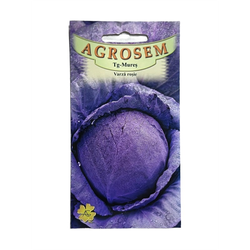 Seminte varza rosie Tete Noire - 2 grame