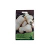 Seminte dovleac de copt Waltham Butternut - 2 grame