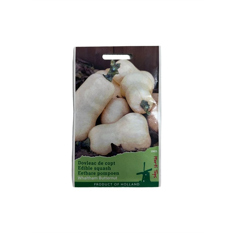 Seminte dovleac de copt Waltham Butternut - 2 grame