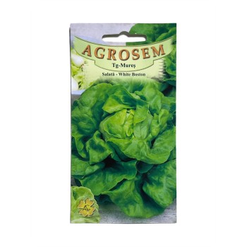 Seminte salata de capatana White Boston - 2.5 grame