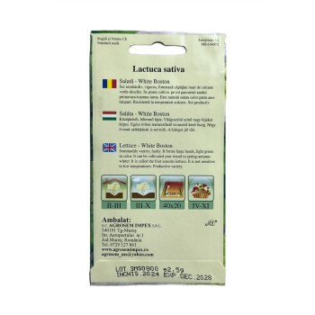 Seminte salata de capatana White Boston - 2.5 grame