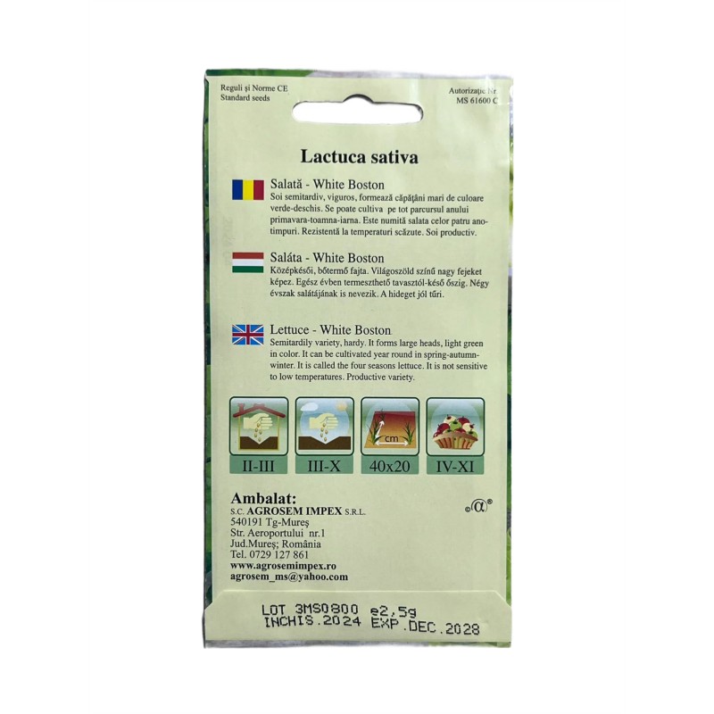 Seminte salata de capatana White Boston - 2.5 grame