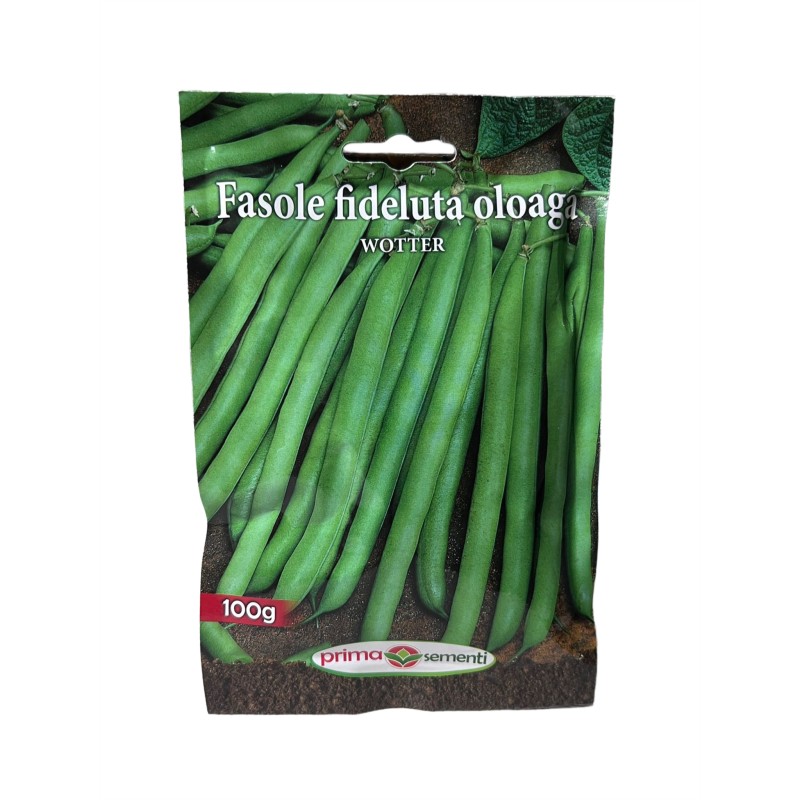 Seminte fasole oloaga Wotter - 100 grame